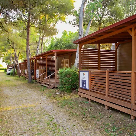 Campeggio Small Camp Kr Vip Full Service Baia Domizia