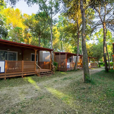 Small Camp Kr Vip Full Service Campsite *