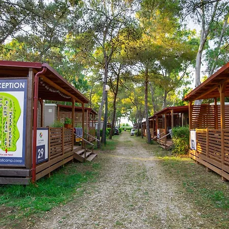Campsite Small Camp Kr Vip Full Service Baia Domizia